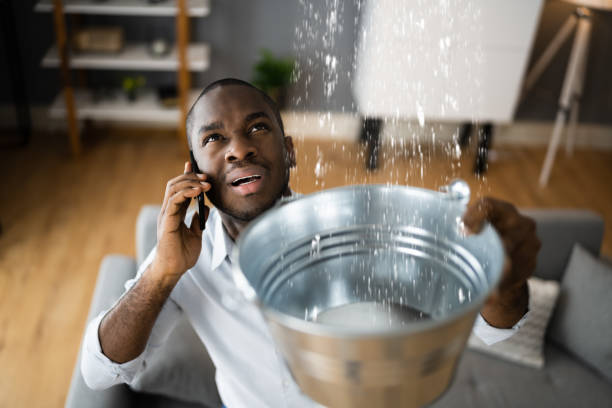 Best Flood restoration services  in Sheffield Lake, OH