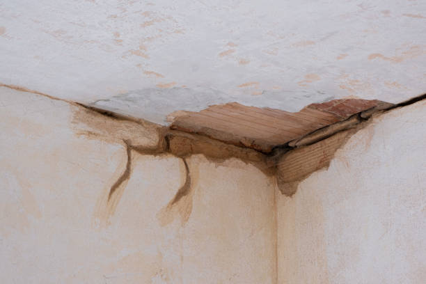 Best Sewage cleanup and water damage restoration  in Sheffield Lake, OH