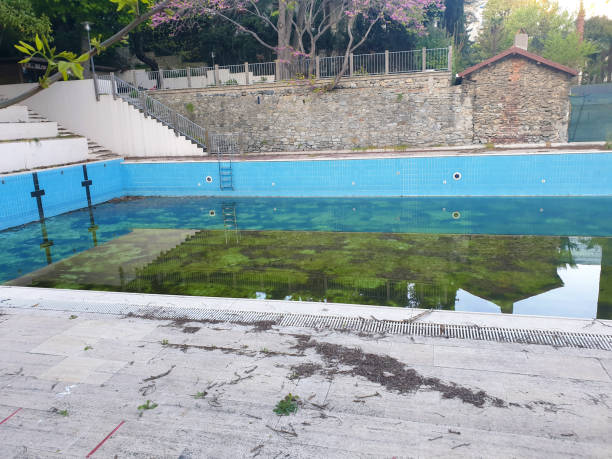 Best Flood restoration services  in Sheffield Lake, OH