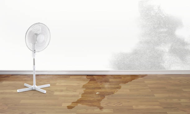 Best 24/7 water damage repair  in Sheffield Lake, OH
