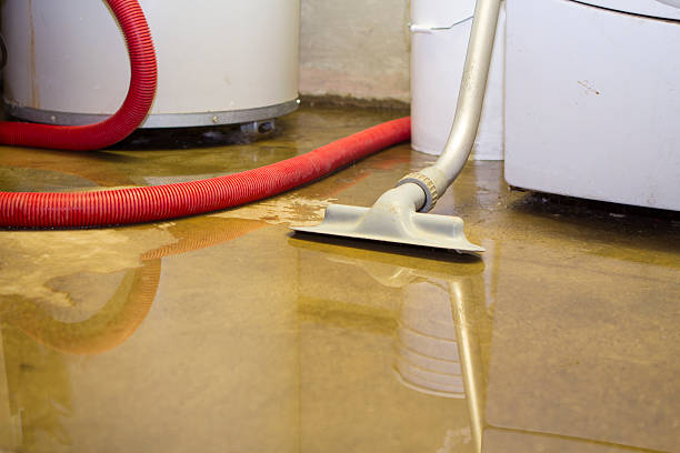 Best Professional water damage repair  in Sheffield Lake, OH